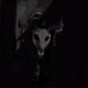 Meet your Posher, Des